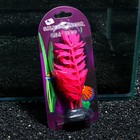 Растение силиконовое аквариумное, светящееся в темноте, 8 х 15 см, розовое - Фото 4
