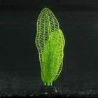 Растение силиконовое аквариумное, светящееся в темноте, 6 х 19 см, зелёное - фото 2718284