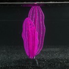 Растение силиконовое аквариумное, светящееся в темноте, 6 х 19 см, фиолетовое - фото 9688188