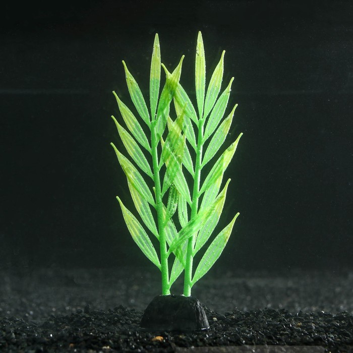 Растение силиконовое аквариумное, светящееся в темноте, 6,5 х 18 см, зелёное - Фото 1