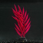 Растение силиконовое аквариумное, светящееся в темноте, 6,5 х 18 см, красное - фото 9688196
