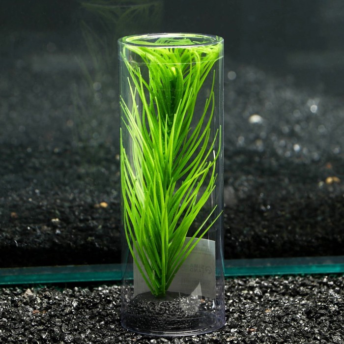 Силиконовая аквариум. Аквариумный силикон. Растение силиконовое аквариумное, светящееся в темноте. Растение силиконовое морские водоросли 40 см 001-40.