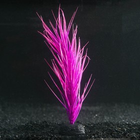 Растение силиконовое аквариумное, светящееся в темноте, 8 х 18 см, фиолетовое