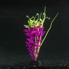 Растение силиконовое аквариумное, светящееся в темноте, 11 х 18 см, фиолетовое - фото 9688207