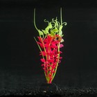 Растение силиконовое аквариумное, светящееся в темноте, 11 х 18 см, розовое - фото 9688211