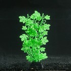 Растение силиконовое аквариумное, светящееся в темноте, 6,5 х 18 см, зелёное - фото 2718292