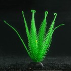 Растение силиконовое аквариумное, светящееся в темноте, 10,5 х 18 см, зелёное - фото 9688223
