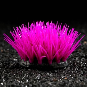 Растение силиконовое аквариумное, светящееся в темноте, 6,5 х 6,5 см, фиолетовое