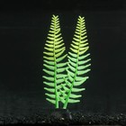 Растение силиконовое аквариумное, светящееся в темноте, 8 х 23 см, зелёное - фото 318849884