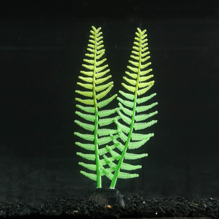 Растение силиконовое аквариумное, светящееся в темноте, 8 х 23 см, зелёное - Фото 1
