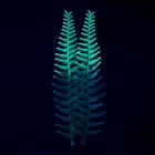 Растение силиконовое аквариумное, светящееся в темноте, 8 х 23 см, зелёное - Фото 2
