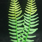 Растение силиконовое аквариумное, светящееся в темноте, 8 х 23 см, зелёное - Фото 3