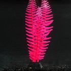 Растение силиконовое аквариумное, светящееся в темноте, 8 х 23 см, розовое - фото 318849892