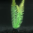 Растение силиконовое аквариумное, светящееся в темноте, 8 х 23 см, зелёное - фото 9688263