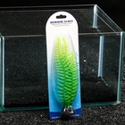 Растение силиконовое аквариумное, светящееся в темноте, 8 х 23 см, зелёное 7108800