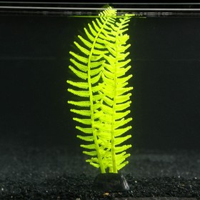 Растение силиконовое аквариумное, светящееся в темноте, 8 х 23 см, желтое