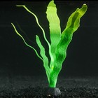 Растение силиконовое аквариумное, светящееся в темноте, 14 х 24 см, зелёное - фото 9688279