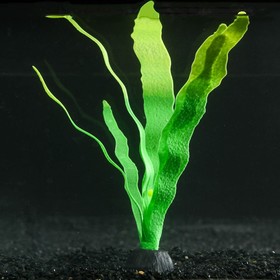 Растение силиконовое аквариумное, светящееся в темноте, 14 х 24 см, зелёное