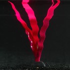 Растение силиконовое аквариумное, светящееся в темноте, 14 х 24 см, красное - фото 17017493