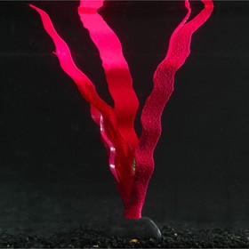 Растение силиконовое аквариумное, светящееся в темноте, 14 х 24 см, красное
