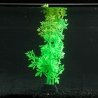 Растение силиконовое аквариумное, светящееся в темноте, 8 х 24 см, зелёное - фото 9688287