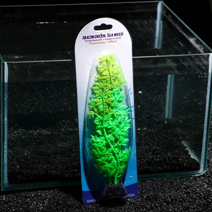 Силиконовая аквариум. Аквариумный силикон. Растение аквариумное №1 55 см. Зелёные торты которые светятся в темноте. Все штуки которые светятся в темноте и их цены.