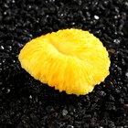 Декор для аквариума коралл "Пильчатый гриб", силиконовый, 5 х 2,5 см, оранжевый - фото 10221448