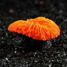 Декор для аквариума коралл "Пильчатый гриб", силиконовый, 5 х 2,5 см, оранжевый - фото 318849928