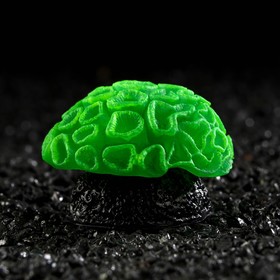 Декор для аквариума коралл Faviidae, 5 х 2,5 см, силиконовый, зелёный