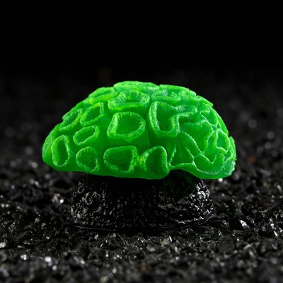 Декор для аквариума коралл Faviidae, 5×2.5 см, силиконовый, зелёный