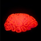 Декор для аквариума коралл Faviidae, 5 х 2,5 см, силиконовый, розовый - фото 6584345