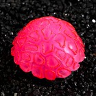 Декор для аквариума коралл Faviidae, 5×2.5 см, силиконовый, розовый - Фото 3