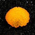 Декор для аквариума коралл Faviidae, 5 х 2,5 см, силиконовый, оранжевый - фото 6584350