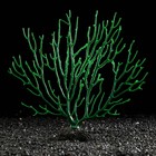 Декоративный коралл "Горгонария" силиконовый, светящийся, 4 х 21 х 23 см, зелёный - фото 108458