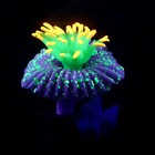 Декор для аквариума "Коралл на платформе" силиконовый, 7 х 7 х 8,5 см, фиолетовый - Фото 2