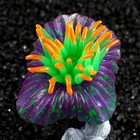 Декор для аквариума "Коралл на платформе" силиконовый, 7 х 7 х 8,5 см, фиолетовый - Фото 5