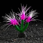 Декор для аквариума Coral Plant силиконовое, светящееся в темноте, 14 х 17 см, фиолетовый - фото 9688373