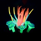 Декор для аквариума "Анемон", силиконовый, святящийся в темноте, 7 х 7 х 9 см, розовый - Фото 2