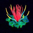 Декор для аквариума "Анемон", силиконовый, святящийся в темноте, 7 х 7 х 9 см, розовый - Фото 3