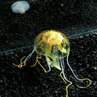 Декор для аквариума "Медуза" силиконовая, с неоновым эффектом, 5 х 5 х 15 см, оранжевая - фото 11344954