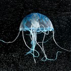 Декор для аквариума "Медуза" силиконовая, с неоновым эффектом, 10 х 10 х 20,5 см, синяя - фото 11344956