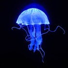 Декор для аквариума "Медуза" силиконовая, с неоновым эффектом, 10 х 10 х 20,5 см, синяя - фото 11344957