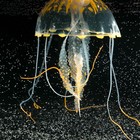 Декор для аквариума "Медуза" силиконовая, флуоресцентная, 10 х 10 х 20,5 см, оранжевая - Фото 3