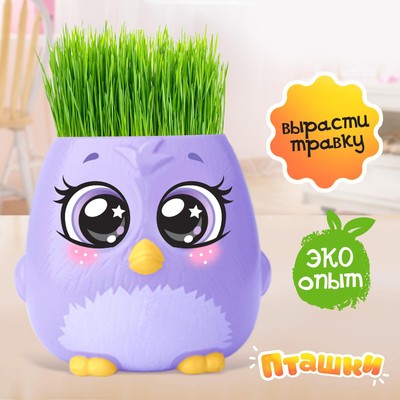 Набор для опытов, для детей «Пташки, выращиваем травку», МИКС, в пакете