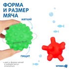 Набор игрушек для ванны Крошка Я «Дельфин», мочалка с игрушкой, 2 тактильных мячика - Фото 2