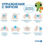 Набор игрушек для ванны Крошка Я «Дельфин», мочалка с игрушкой, 2 тактильных мячика - Фото 3