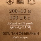 Пряжа "Удачный выбор" 100% акрил объёмный, 200м/100гр (191-Ежевика) - Фото 3