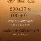 Пряжа "Удачный выбор" 100% акрил объёмный, 200м/100гр (88-Красный мак) - Фото 3