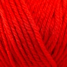 Пряжа "Удачный выбор" 100% акрил объёмный, 200м/100гр (88-Красный мак) - Фото 4