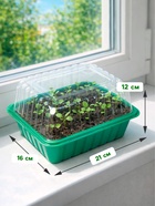 Мини - парник для рассады, 21×16×12, без вставок, пластик, Greengo - Фото 2